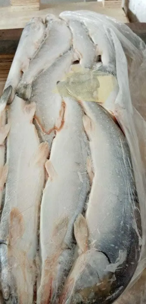 свежемороженая рыба  по ВКУСНОЙ цене в Тюмени 5