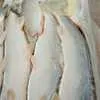 свежемороженая рыба  по ВКУСНОЙ цене в Тюмени 5