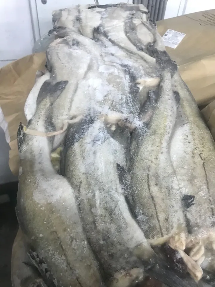 свежемороженая рыба  по ВКУСНОЙ цене в Тюмени 4