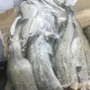 свежемороженая рыба  по ВКУСНОЙ цене в Тюмени 4